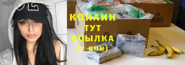 PSILOCYBIN Кулебаки