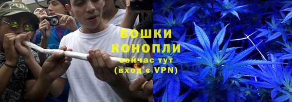 PSILOCYBIN Кулебаки